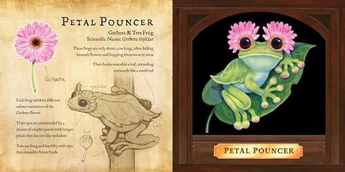 A Fleurlings Field Guide Kaitlin Hoyt 9781998223343