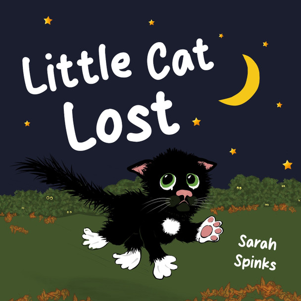 Little Cat Lost Sarah Spinks 9781803783260
