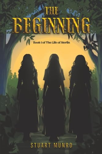 The Beginning Stuart Munro 9781037119903