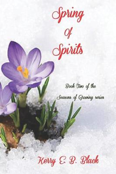 Spring of Spirits Kerry E B Black 9781948894319