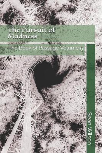 The Pursuit of Madness: The Book of Passage Volume 5 Sean Michael Wilson 9781711927565