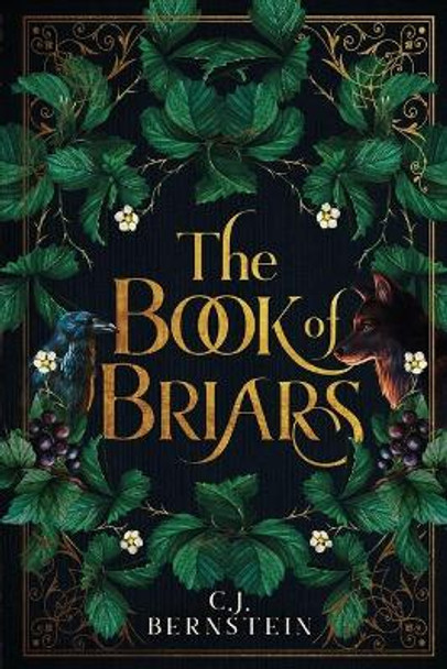 The Book of Briars C J Bernstein 9781735791258