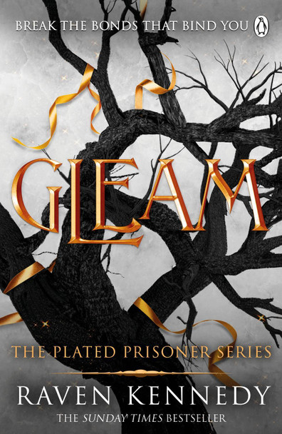 Gleam: The dark fantasy TikTok sensation that's sold over a million copies Raven Kennedy 9781405955027