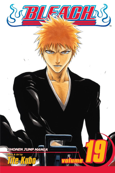Bleach, Vol. 19 Tite Kubo 9781421510439