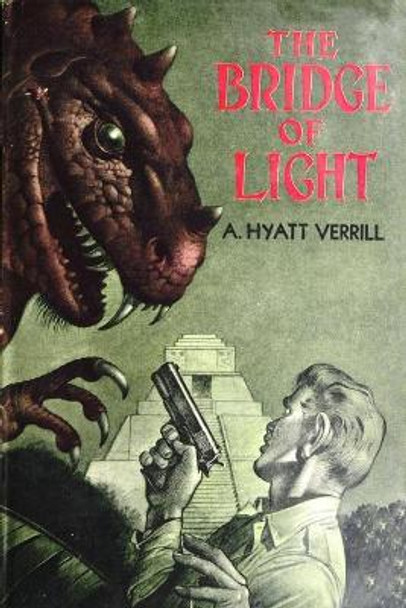 The Bridge of Light A Hyatt Verrill 9781647201951