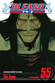 Bleach, Vol. 55 Tite Kubo 9781421552361