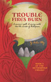 Trouble Fires Burn by Amber Elby