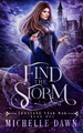 Find the Storm by Michelle Dawn