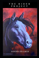 The Rider Project by Sandra Hilliker
