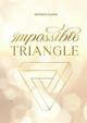Impossible triangle by Antonio Almas