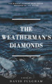 The Weatherman's Diamonds by David Fulgham