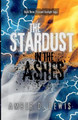 The Stardust in the Ashes Amber D Lewis 9798987491508