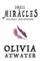 Small Miracles Olivia Atwater 9781778271304
