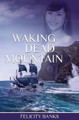 Waking Dead Mountain by Felicity Banks