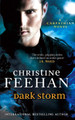 Dark Storm: Number 23 in series Christine Feehan 9780749957544