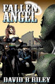 Fallen Angel by David B Riley