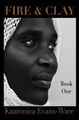 Fire & Clay Kaaronica Taefe Evans 9780615813882