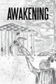 Awakening T. A. Walk 9781468536775