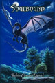 Soulbound Robin Cowan-Daniel 9781458205483