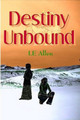 Destiny Unbound by LE Allen