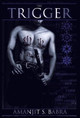 The Trigger Amanjit S Babra 9781475973037