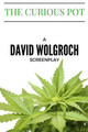 The Curious Pot by David Wolgroch