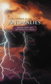 Anomalies Christopher Allen Guidry 9781475939989