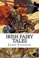 Irish Fairy Tales James Stephens 9781497567177