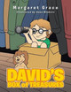 David's Box of Treasures Margaret Grace 9781496965936