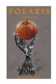 Polaris 10 Short Stories David a Portlock 9781494723262
