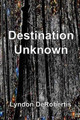 Destination Unknown by Lyndon Derobertis