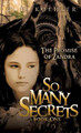 So Many Secrets C D Koehler 9781613791288