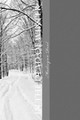 In the Dead of Winter by Laura a Fox