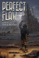 Perfect Flaw by Robin Blankenship
