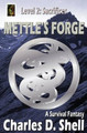 Mettle's Forge Level 2 by Charles D Shell