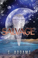 Salvage by C Addams