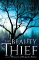 The Beauty Thief Rachael Ritchey 9780692374986