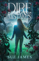 Dire Mistakes by Sue James