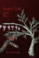 Pocket Star: Flowers for Isolda C Jared Castor 9781978383555