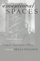 Exceptional Spaces by Della Pollock