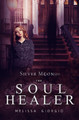 The Soul Healer by Melissa Giorgio