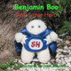 Benjamin Boo Real Super Hero by Dawn Cawthon Behrens