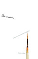Illegal Literature: Toward a Disruptive Creativity David S. Roh 9780816695782