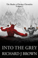 Into The Grey by Richard J Brown by Richard J Brown
