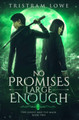 No Promises Large Enough by Tristram Lowe