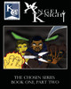Angel Knight Volume 2 by Eric Rogers (University of Southampton UK)