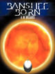Banshee Born by A. M. Megahed