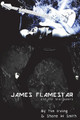 James Flamestar and the Stargazers by Shane W Smith