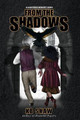 From the Shadows Kb Shaw 9780692959442