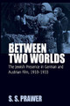 Between Two Worlds: The Jewish Presence in German and Austrian Film, 1910-1933 S. S. Prawer 9781845453039